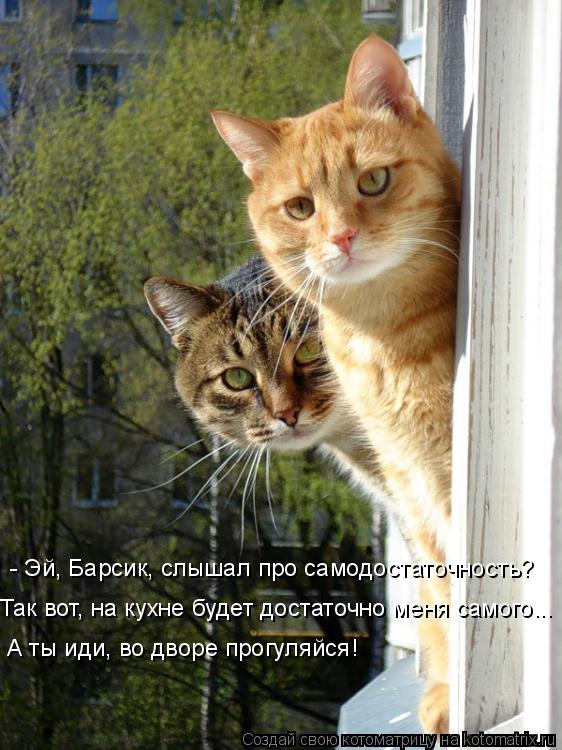 Котоматрица: - Эй, Барсик, слышал про самодостаточность? Так вот, на кухне будет достаточно меня самого... А ты иди, во дворе прогуляйся!