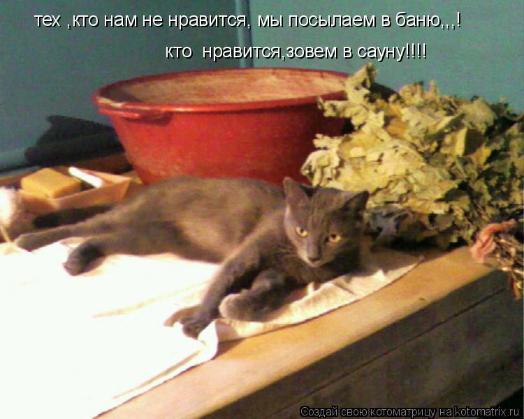 тех ,кто нам не нравится, мы посылаем в баню,,,! кто нравится,зовем в сауну!!!!... Котоматрица: тех ,кто нам не нравится, мы посылаем в баню,,,! кто нравится,зовем в сауну!!!!