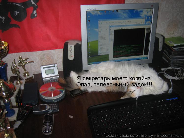 Я секретарь моего хозяйна! Опаа, телевоньный задок!!!... Котоматрица: Я секретарь моего хозяйна! Опаа, телевоньный задок!!!