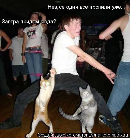 Завтра придем сюда? Неа,сегодня все пропили уже...... Котоматрица: Завтра придем сюда? Неа,сегодня все пропили уже...