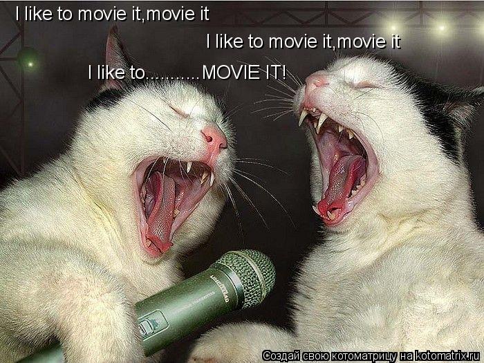 I like to movie it,movie it I like to movie it,movie it I like to...........MOVIE IT!... Котоматрица: I like to movie it,movie it I like to movie it,movie it I like to...........MOVIE IT!