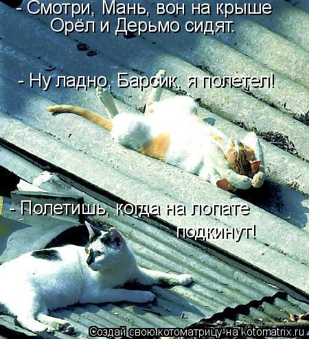 - Смотри, Мань, вон на крыше Орёл и Дерьмо сидят. - Ну ладно, Барсик, я полетел! - Полетишь, когда н... Котоматрица: - Смотри, Мань, вон на крыше Орёл и Дерьмо сидят. - Ну ладно, Барсик, я полетел! - Полетишь, когда на лопате подкинут!