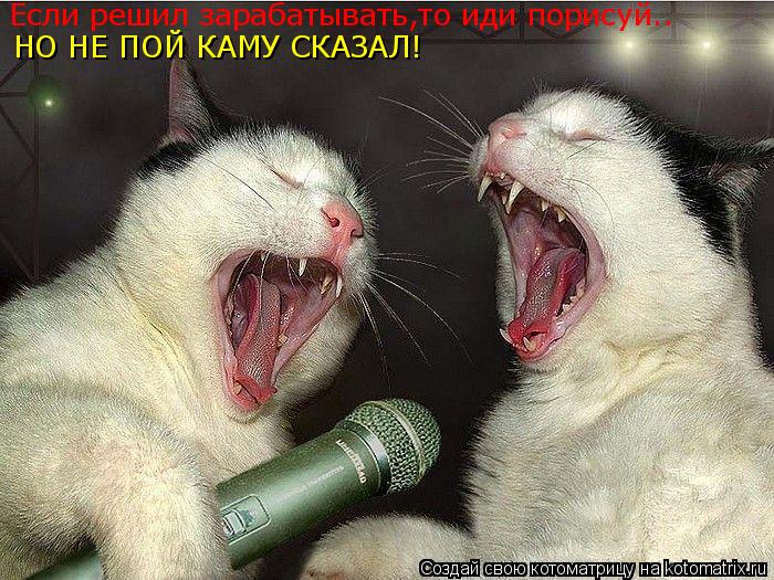 Если решил зарабатывать,то иди порисуй.. НО НЕ ПОЙ КАМУ СКАЗАЛ!... Котоматрица: Если решил зарабатывать,то иди порисуй.. НО НЕ ПОЙ КАМУ СКАЗАЛ!
