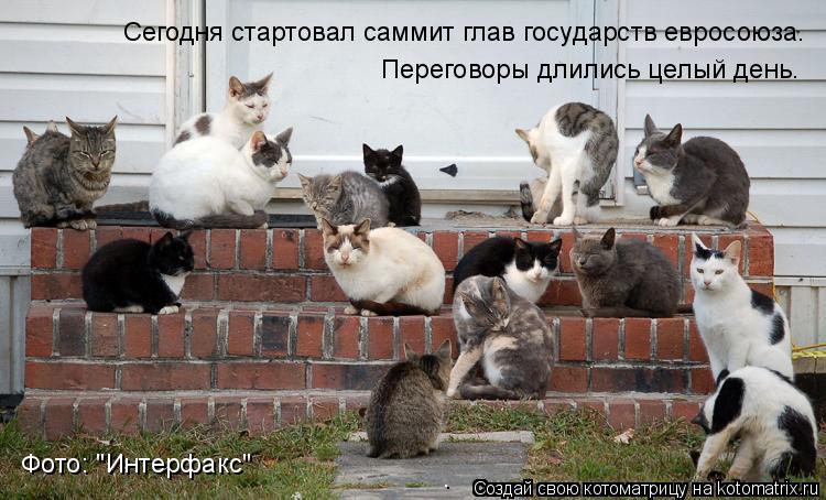Котоматрица: Сегодня стартовал саммит глав государств евросоюза. Переговоры длились целый день. Фото: "Интерфакс"