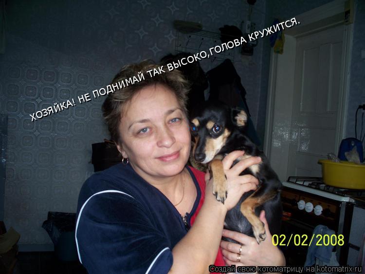 ХОЗЯЙКА! НЕ ПОДНИМАЙ ТАК ВЫСОКО,ГОЛОВА КРУЖИТСЯ.... Котоматрица: ХОЗЯЙКА! НЕ ПОДНИМАЙ ТАК ВЫСОКО,ГОЛОВА КРУЖИТСЯ.