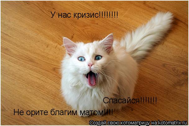 У нас кризис!!!!!!!! Спасайся!!!!!!! НЕ Не орите благим матом!!!!... Котоматрица: У нас кризис!!!!!!!! Спасайся!!!!!!! НЕ Не орите благим матом!!!!