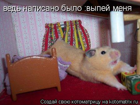ведь написано было :выпей меня... Котоматрица: ведь написано было :выпей меня