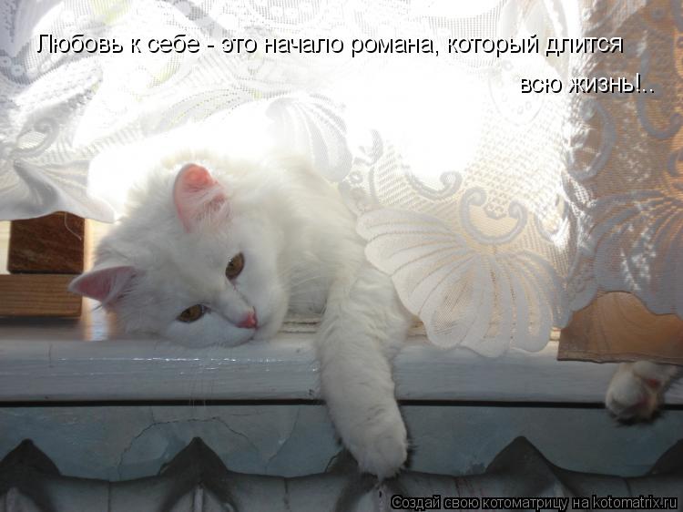 Любовь к себе - это начало романа, который длится всю жизнь!..... Котоматрица: Любовь к себе - это начало романа, который длится всю жизнь!..