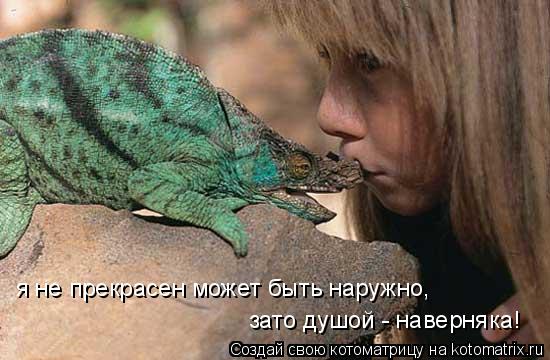 я не прекрасен может быть наружно, зато душой - наверняка!... Котоматрица: я не прекрасен может быть наружно, зато душой - наверняка!