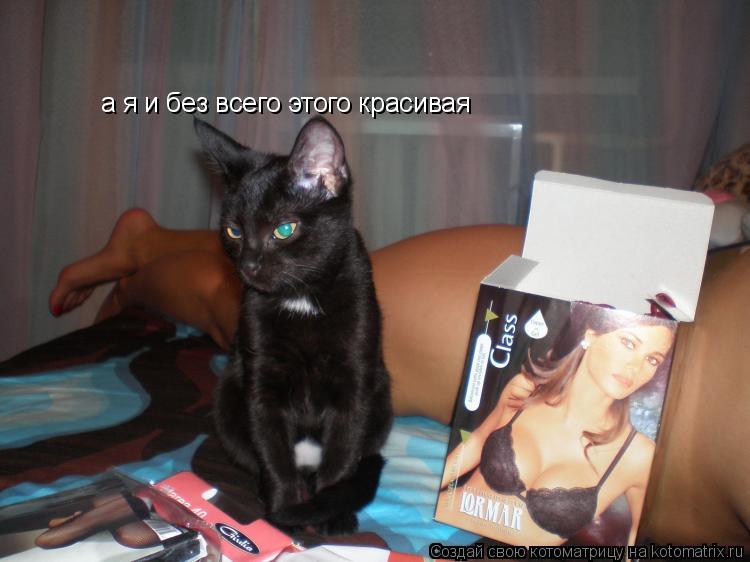 а я и без всего этого красивая... Котоматрица: а я и без всего этого красивая