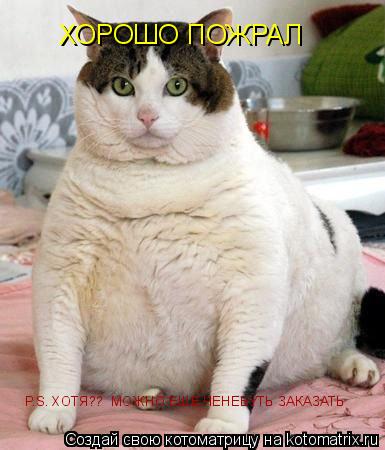 ХОРОШО ПОЖРАЛ P.S. ХОТЯ?? МОЖНО ЕШЕ ЧЕНЕБУТЬ ЗАКАЗАТЬ... Котоматрица: ХОРОШО ПОЖРАЛ P.S. ХОТЯ?? МОЖНО ЕШЕ ЧЕНЕБУТЬ ЗАКАЗАТЬ