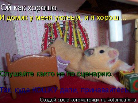 Ой как хорошо... И домик у меня уютный, и я хорош.... Слушайте както не по сценарию... Так..куда КОШК... Котоматрица: Ой как хорошо... И домик у меня уютный, и я хорош.... Слушайте както не по сценарию... Так..куда КОШКУ дели, принавайтесь...