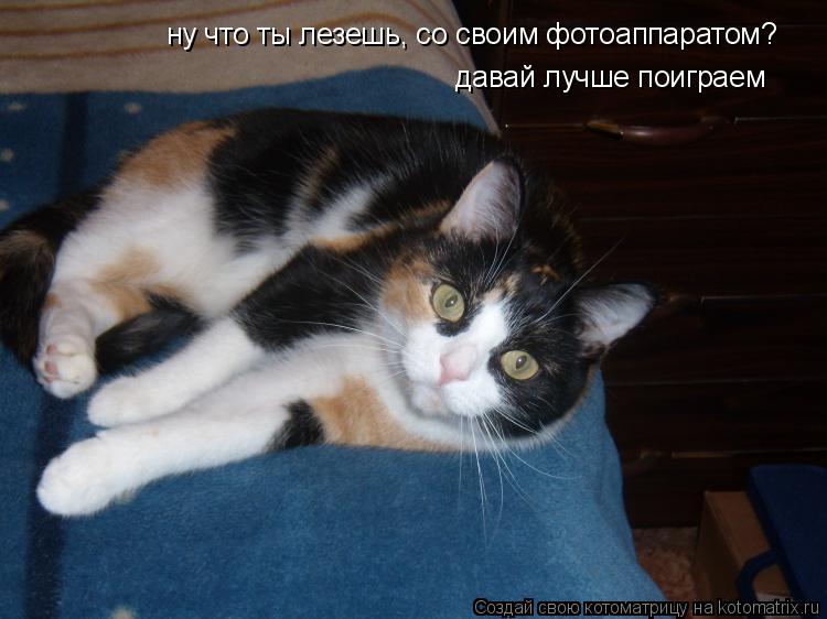 ну что ты лезешь, со своим фотоаппаратом? давай лучше поиграем... Котоматрица: ну что ты лезешь, со своим фотоаппаратом? давай лучше поиграем