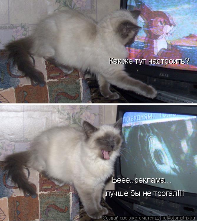 Как же тут настроить? Беее..реклама... лучше бы не трогал!!!... Котоматрица: Как же тут настроить? Беее..реклама... лучше бы не трогал!!!