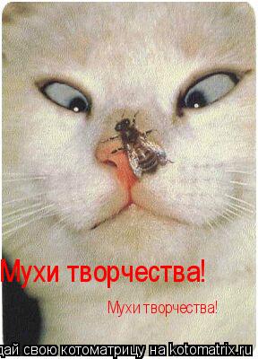 Мухи творчества! Мухи творчества!... Котоматрица: Мухи творчества! Мухи творчества!