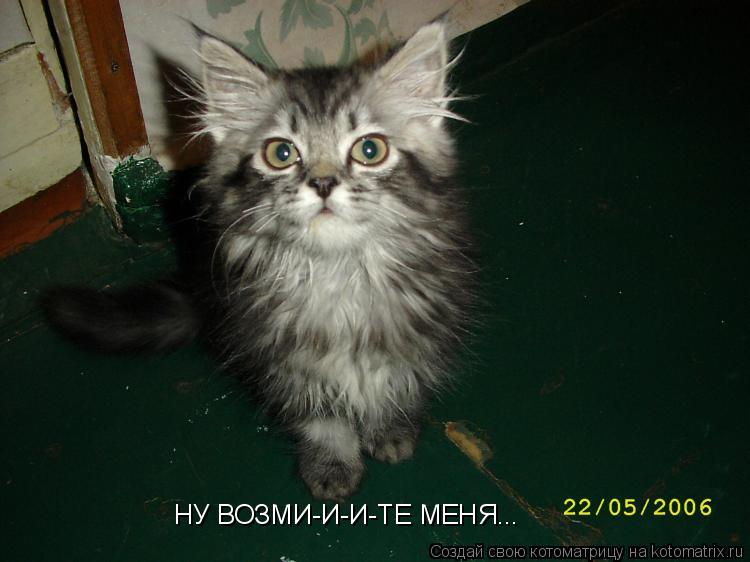 НУ ВОЗМИ-И-И-ТЕ МЕНЯ...... Котоматрица: НУ ВОЗМИ-И-И-ТЕ МЕНЯ...