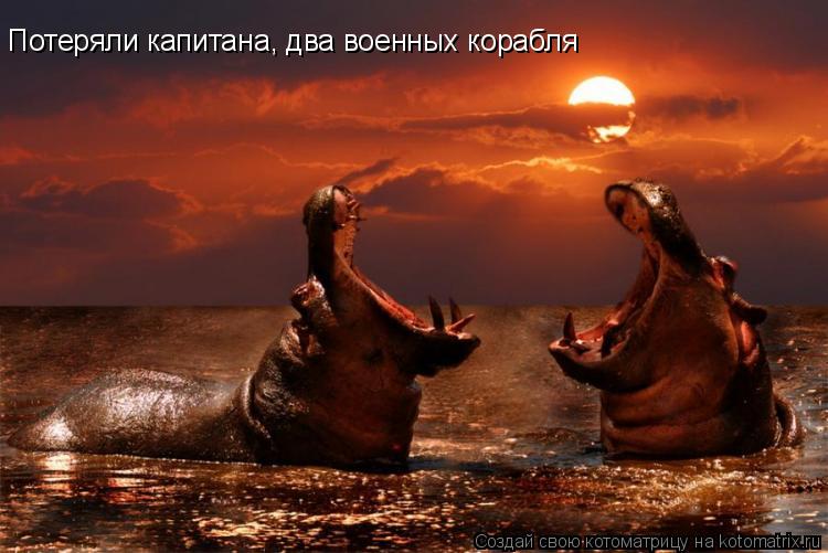 Потеряли капитана, два военных корабля... Котоматрица: Потеряли капитана, два военных корабля