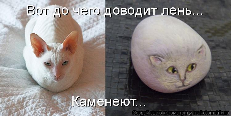 Вот до чего доводит лень... Каменеют...... Котоматрица: Вот до чего доводит лень... Каменеют...