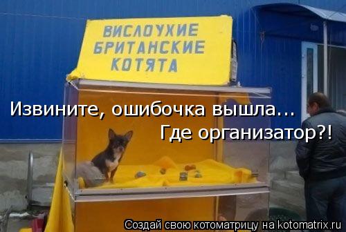 Извините, ошибочка вышла... Где организатор?!... Котоматрица: Извините, ошибочка вышла... Где организатор?!