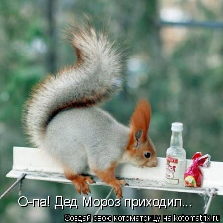 О-па! Дед Мороз приходил...... Котоматрица: О-па! Дед Мороз приходил...