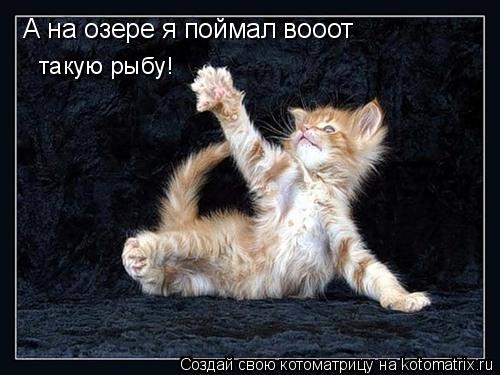 А на озере я поймал вооот такую рыбу!... Котоматрица: А на озере я поймал вооот такую рыбу!