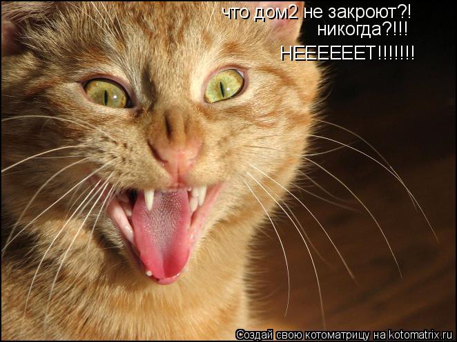 что дом2 не закроют?! никогда?!!! НЕЕЕЕЕЕТ!!!!!!!... Котоматрица: что дом2 не закроют?! никогда?!!! НЕЕЕЕЕЕТ!!!!!!!
