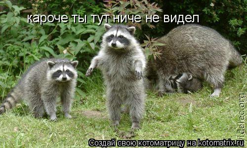 кароче ты тут ниче не видел... Котоматрица: кароче ты тут ниче не видел