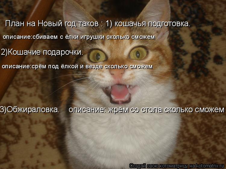 2)Кошачие подарочки. описание:сбиваем с ёлки игрушки сколько сможем описание:срём под ёлкой и везде с... Котоматрица: 2)Кошачие подарочки. описание:сбиваем с ёлки игрушки сколько сможем описание:срём под ёлкой и везде сколько сможем План на Новый год таков :