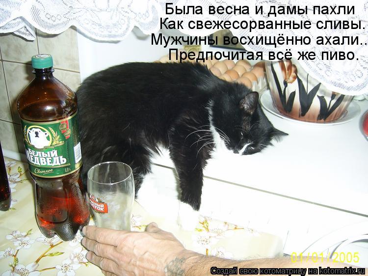 Была весна и дамы пахли Как свежесорванные сливы. Мужчины восхищённо ахали... Предпочитая всё же пиво... Котоматрица: Была весна и дамы пахли Как свежесорванные сливы. Мужчины восхищённо ахали... Предпочитая всё же пиво.