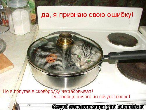 Но я попугая в сковородку не засовывал! Он вообще ничего не почувствовал! да, я признаю свою ошибку!... Котоматрица: Но я попугая в сковородку не засовывал! Он вообще ничего не почувствовал! да, я признаю свою ошибку!