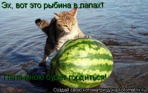 Эх, вот это рыбина в лапах! Папа мною будет гордиться!... Котоматрица: Эх, вот это рыбина в лапах! Папа мною будет гордиться!