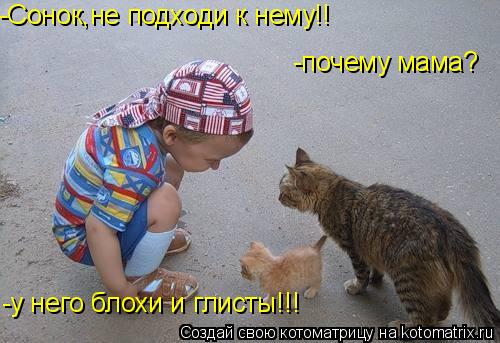 Котоматрица: -Сонок,не подходи к нему!!  -почему мама? -у него блохи и глисты!!!