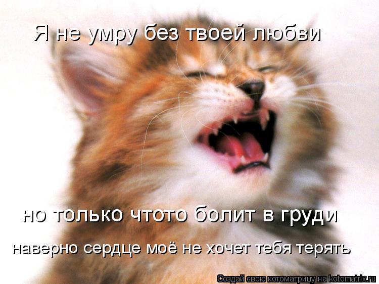 Я не умру без твоей любви но только чтото болит в груди наверно сердце моё не хочет тебя терять... Котоматрица: Я не умру без твоей любви но только чтото болит в груди наверно сердце моё не хочет тебя терять