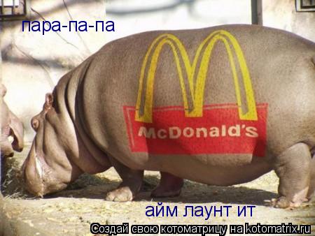пара-па-па айм лаунт ит... Котоматрица: пара-па-па айм лаунт ит