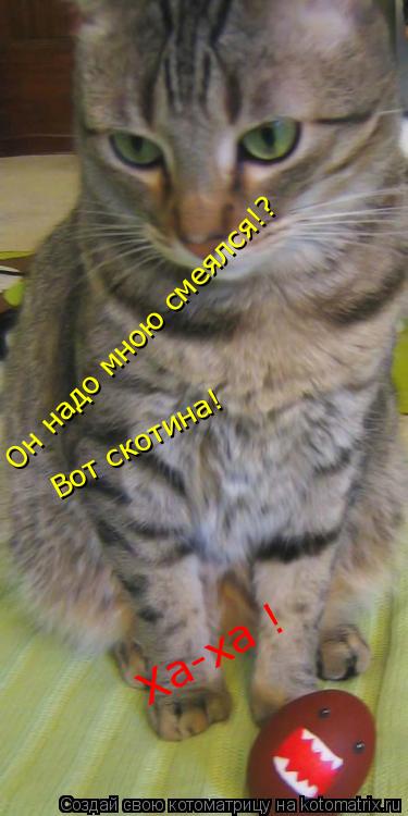 Он надо мною смеялся!? Вот скотина! Ха-ха !... Котоматрица: Он надо мною смеялся!? Вот скотина! Ха-ха !