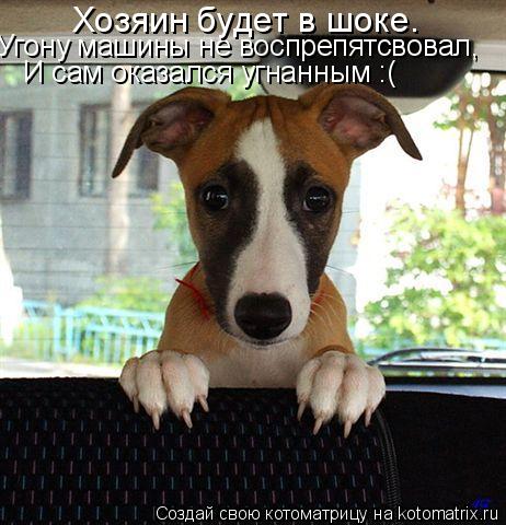 Угону машины не воспрепятсвовал, И сам оказался угнанным :( Хозяин будет в шоке.... Котоматрица: Угону машины не воспрепятсвовал, И сам оказался угнанным :( Хозяин будет в шоке.
