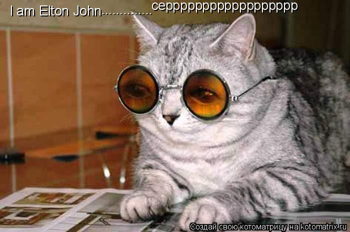 I am Elton John .............. серррррррррррррррррр... Котоматрица: I am Elton John .............. серррррррррррррррррр