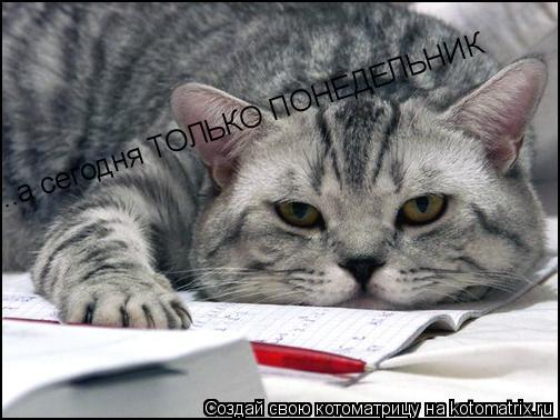 ...а сегодня ТОЛЬКО ПОНЕДЕЛЬНИК... Котоматрица: ...а сегодня ТОЛЬКО ПОНЕДЕЛЬНИК