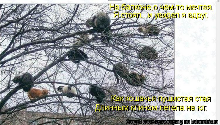 На балконе,о чём-то мечтая, Я стоял...и увидел я вдруг, Как кошачья пушистая стая Длинным клином лете... Котоматрица: На балконе,о чём-то мечтая, Я стоял...и увидел я вдруг, Как кошачья пушистая стая Длинным клином летела на юг.