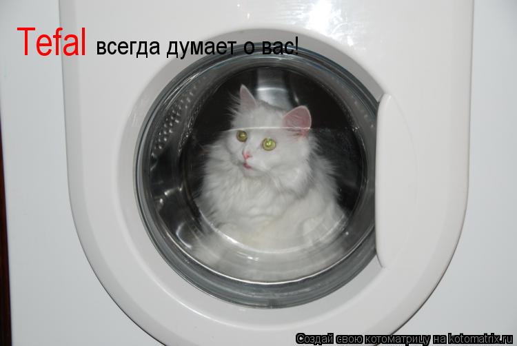 Тefal всегда думает о вас!... Котоматрица: Тefal всегда думает о вас!