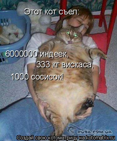 Этот кот съел: 6000000 индеек, 333 кг вискаса, 333 кг вискаса, 1000 сосисок!... Котоматрица: Этот кот съел: 6000000 индеек, 333 кг вискаса, 333 кг вискаса, 1000 сосисок!