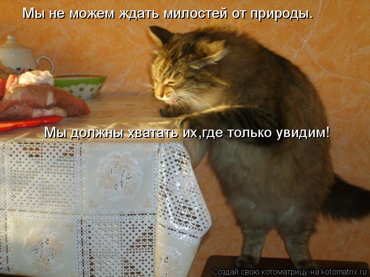 Мы не можем ждать милостей от природы. Мы должны хватать их,где только увидим!... Котоматрица: Мы не можем ждать милостей от природы. Мы должны хватать их,где только увидим!