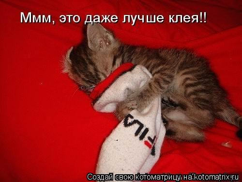 .... Котоматрица: .