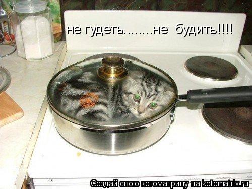не гудеть........не будить!!!!... Котоматрица: не гудеть........не будить!!!!