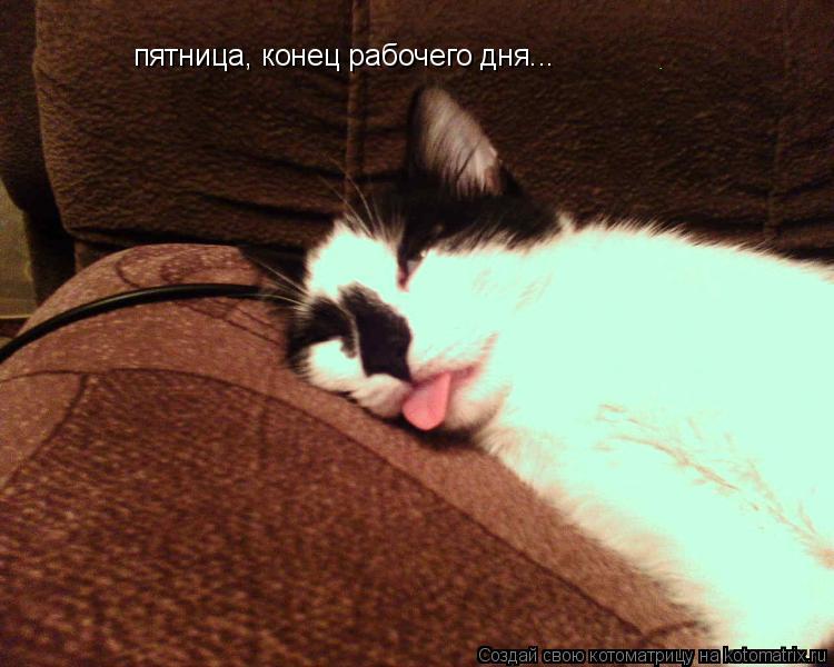 пятница, конец рабочего дня...... Котоматрица: пятница, конец рабочего дня...