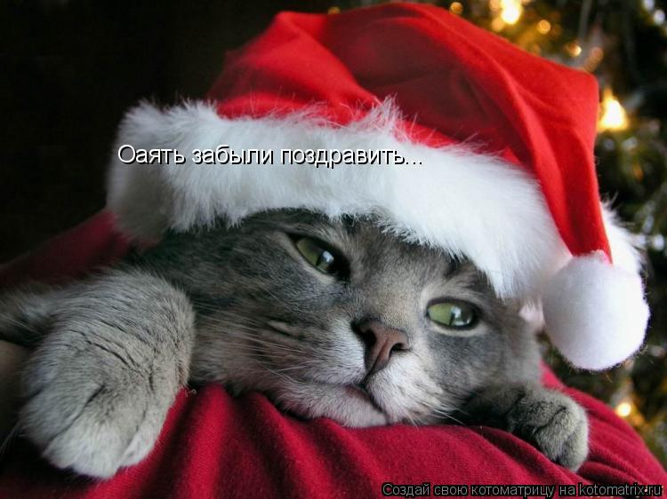 Оаять забыли поздравить...... Котоматрица: Оаять забыли поздравить...