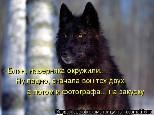 - Блин, наверняка окружили... Ну ладно, сначала вон тех двух, а потом и фотографа... на закуску... Котоматрица: - Блин, наверняка окружили... Ну ладно, сначала вон тех двух, а потом и фотографа... на закуску