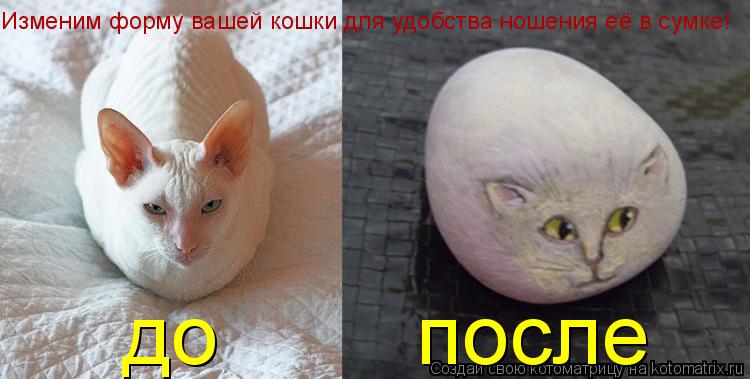 Изменим форму вашей кошки для удобства ношения её в сумке! до после... Котоматрица: Изменим форму вашей кошки для удобства ношения её в сумке! до после