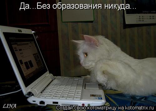 Да...Без образования никуда...... Котоматрица: Да...Без образования никуда...