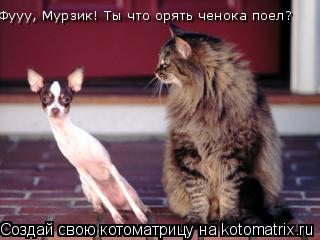 Котоматрица: Фууу, Мурзик! Ты что орять ченока поел?